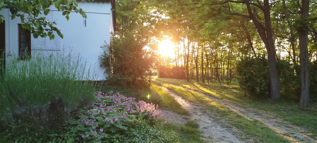 Retreat - Matijin Salaš / Mátyas Tanya