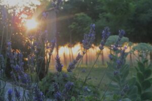 HéRa Retreat Srbija - Joga Vikend