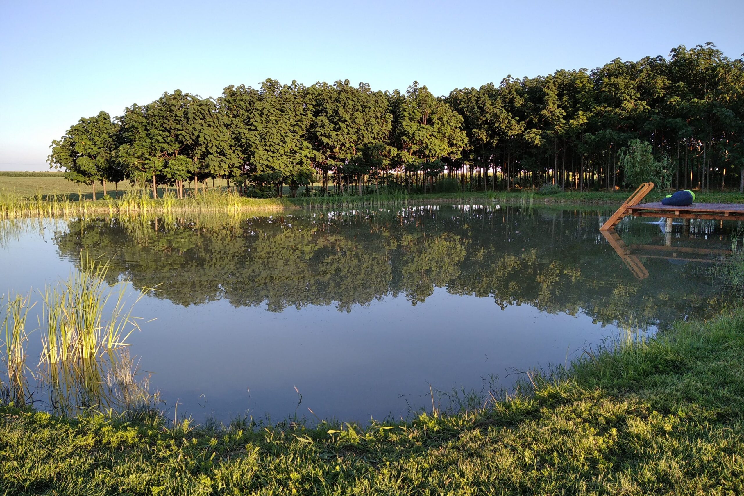 Retreat